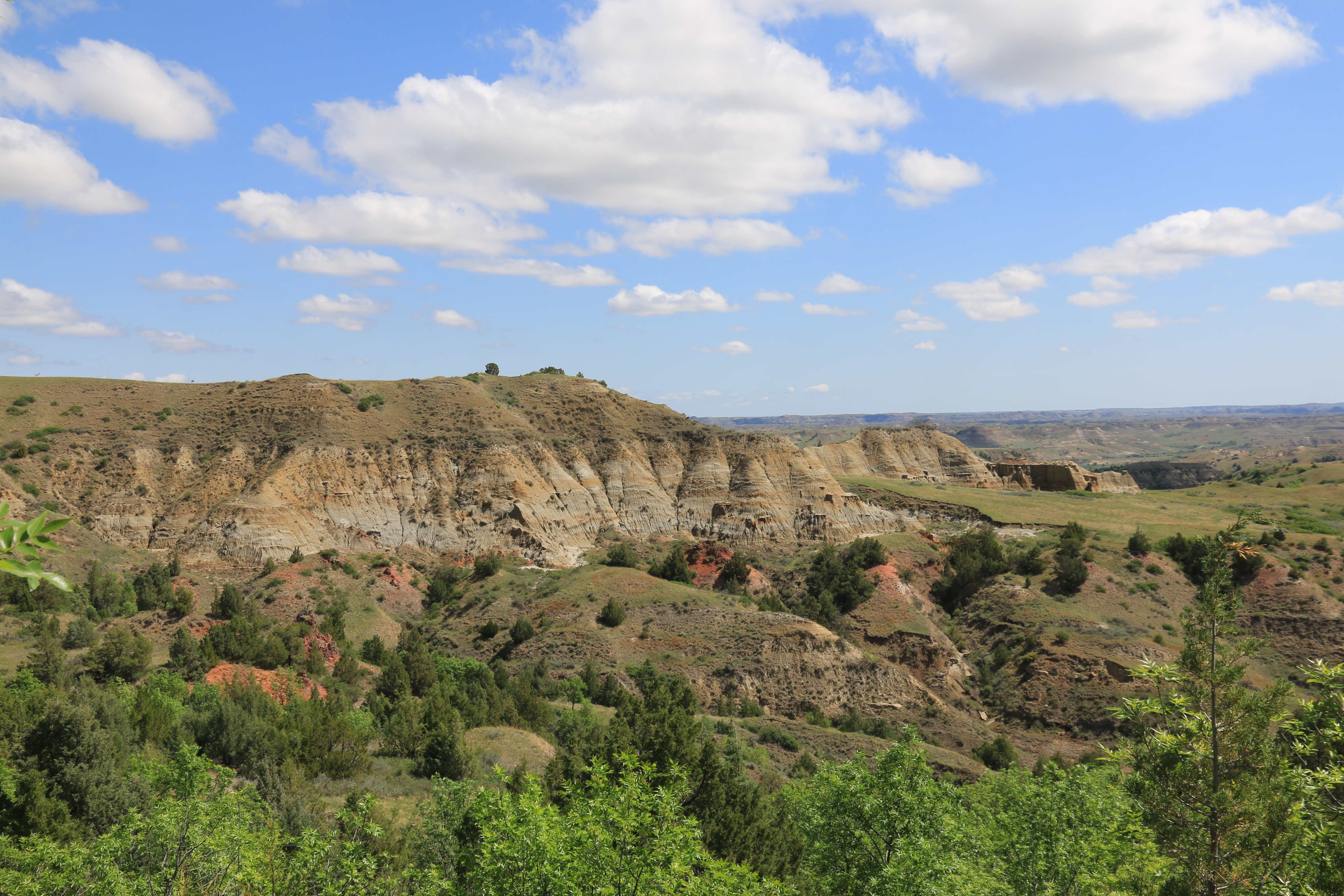 Theodore Roosevelt NP